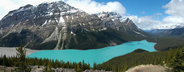 Peyto Lake (panorama)